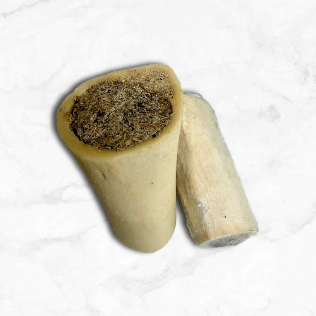 Femur Bone filled with pizzle powder