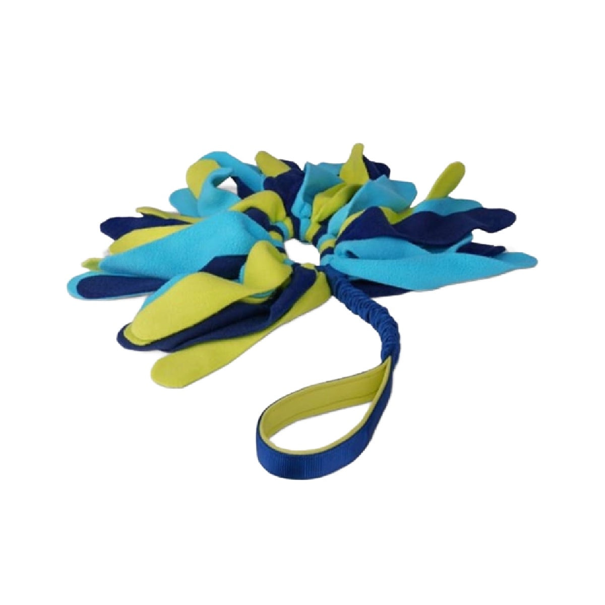 CoA Coachi Tuggi Spider