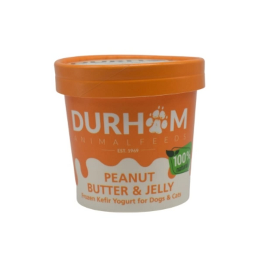 DAF Kefir Yoghurt for dogs in Wiltshire