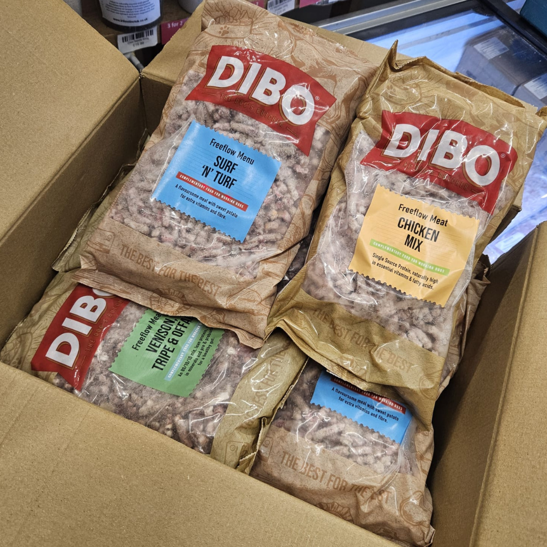 Dibo raw dog food in Wiltshire with same day delivery