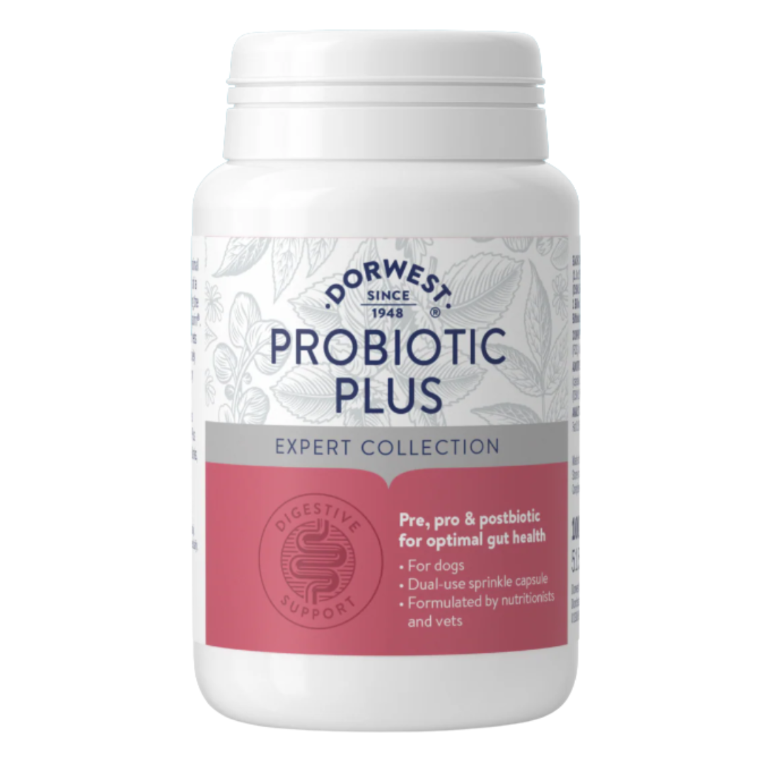 Probiotics Plus for dogs 100