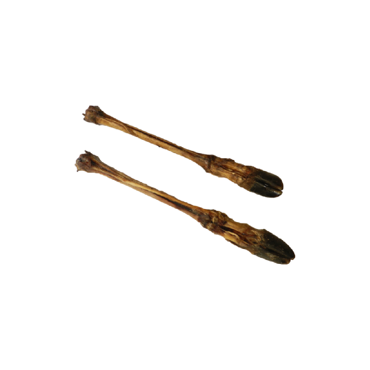 Deer leg with hoof - Natural chew for dogs in Melksham