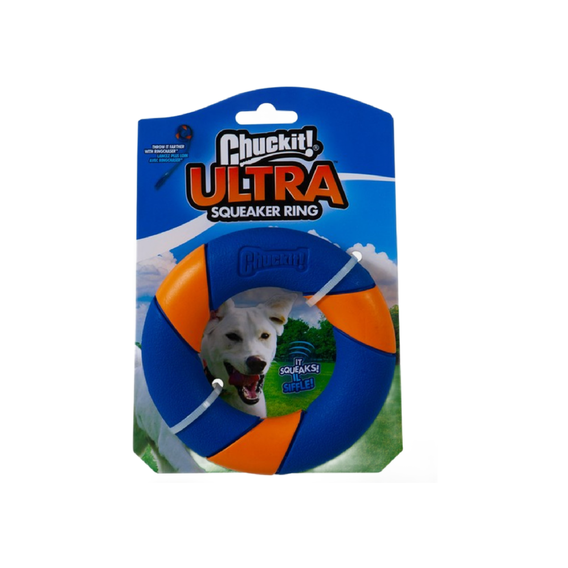 Dog toy in Wiltshire