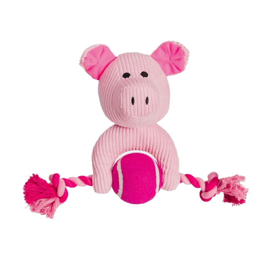 Dog toy in Wiltshire