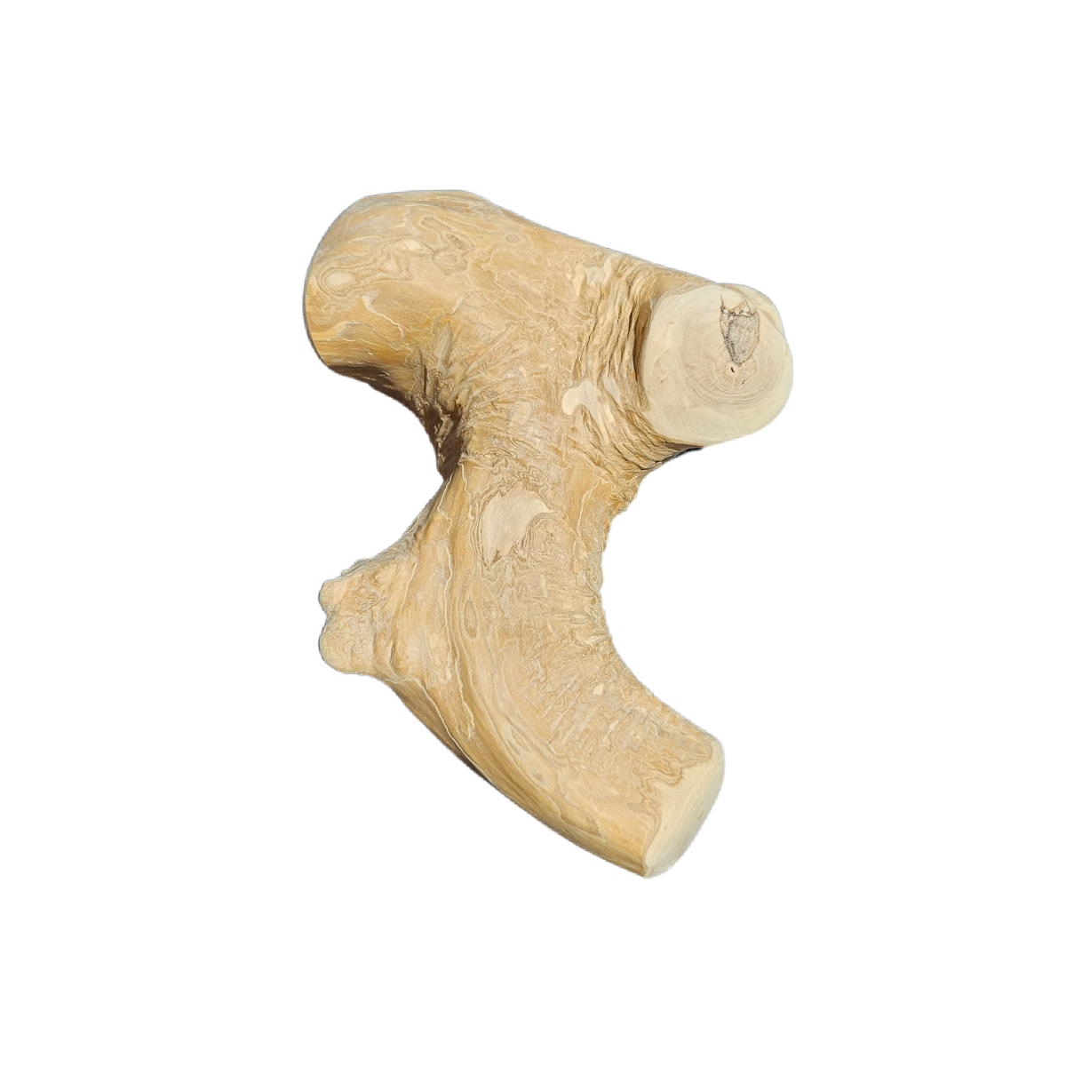 Gorilla wood chew for dogs - natural dog chew