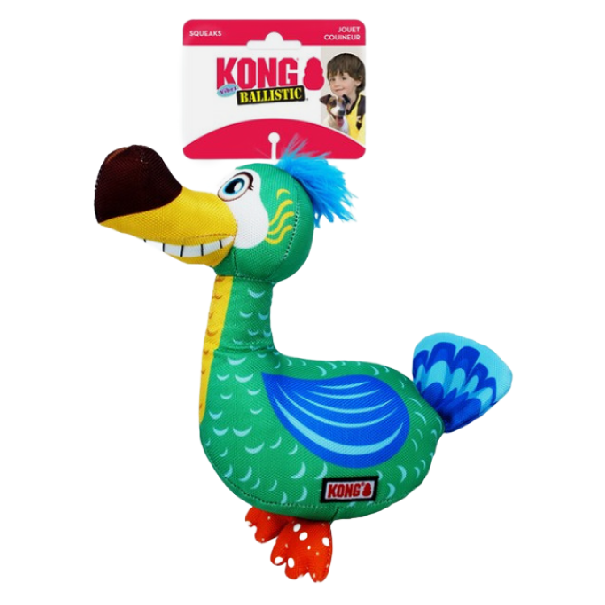 Kong dog toy on Wiltshire