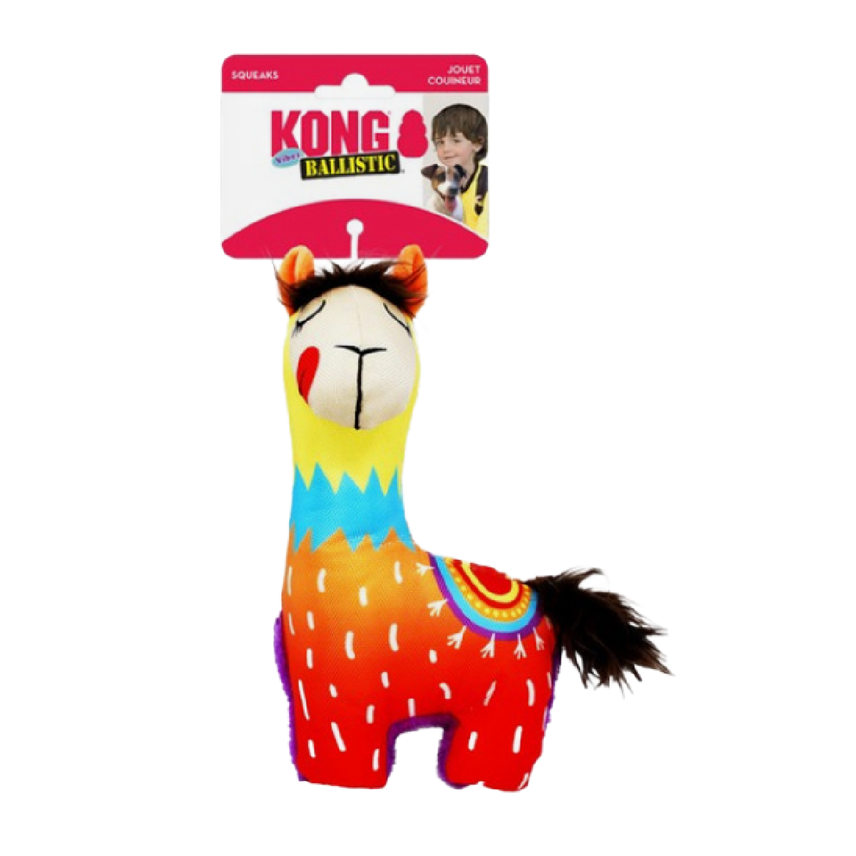 Kong dog toy on Wiltshire