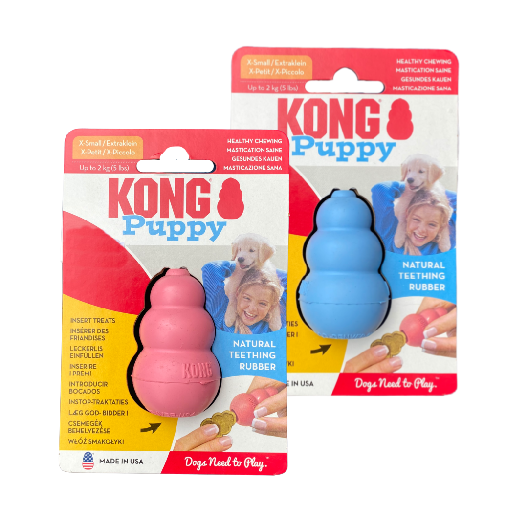 Kong Puppy Classic Blue - S