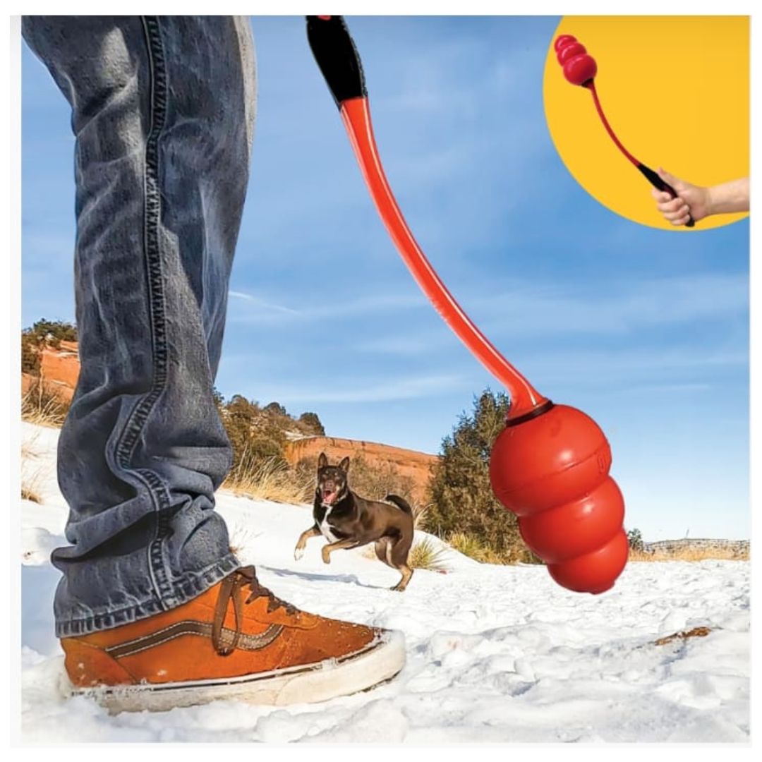 Kong Signature Throw M/L