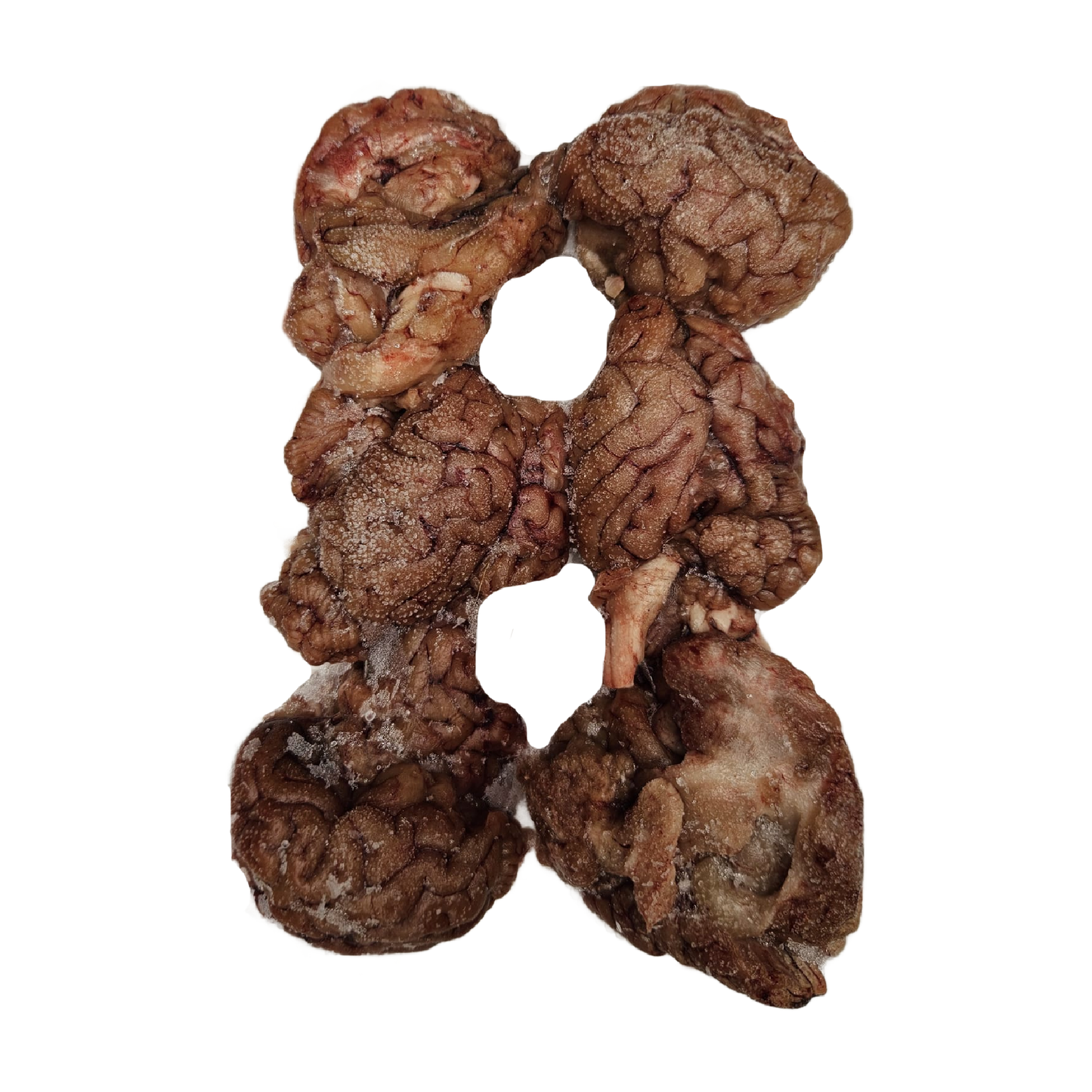 Raw lamb brains for dogs in Wiltshire