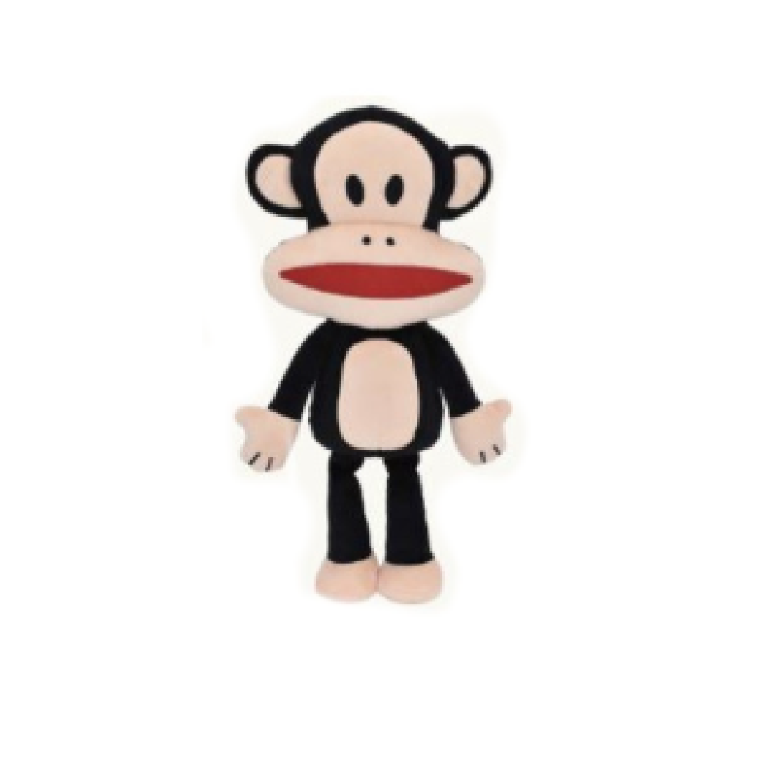 Paul Frank Julius