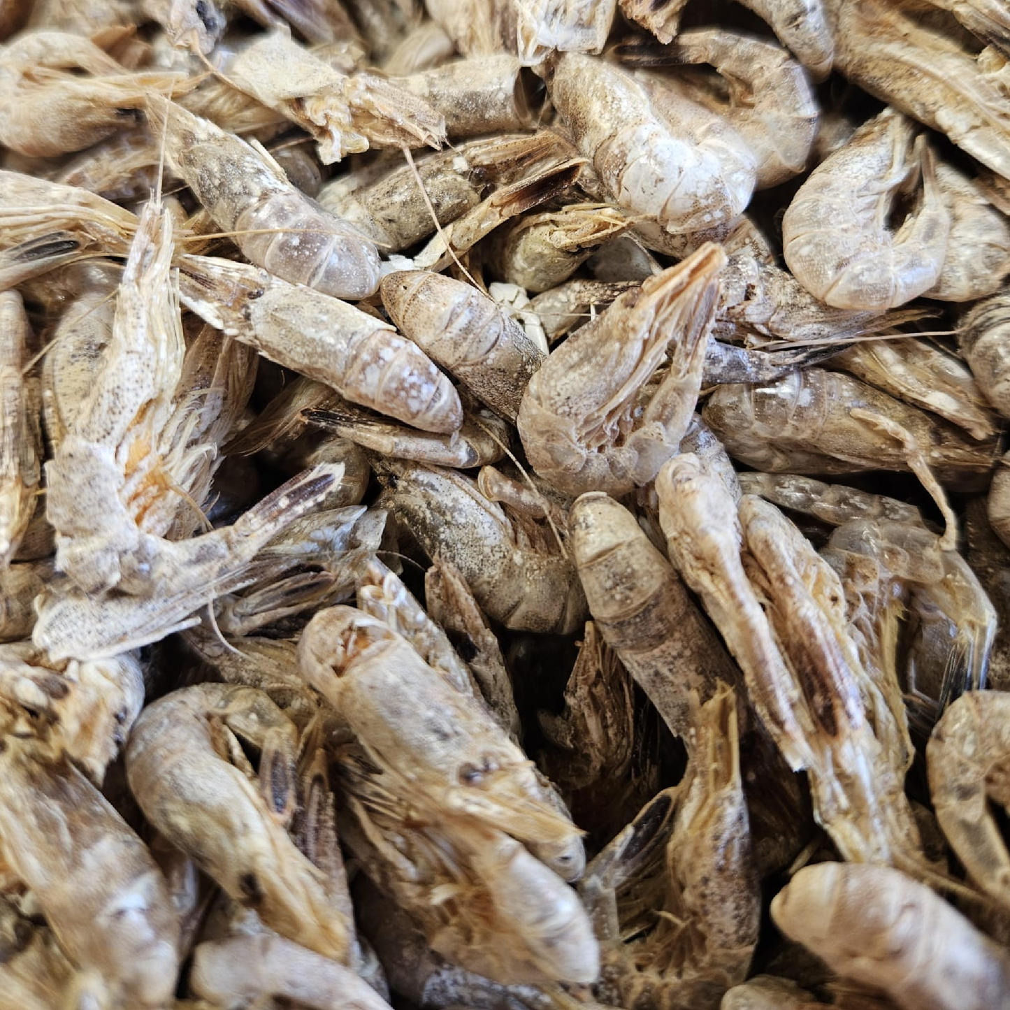 Dried Shrimp 50g