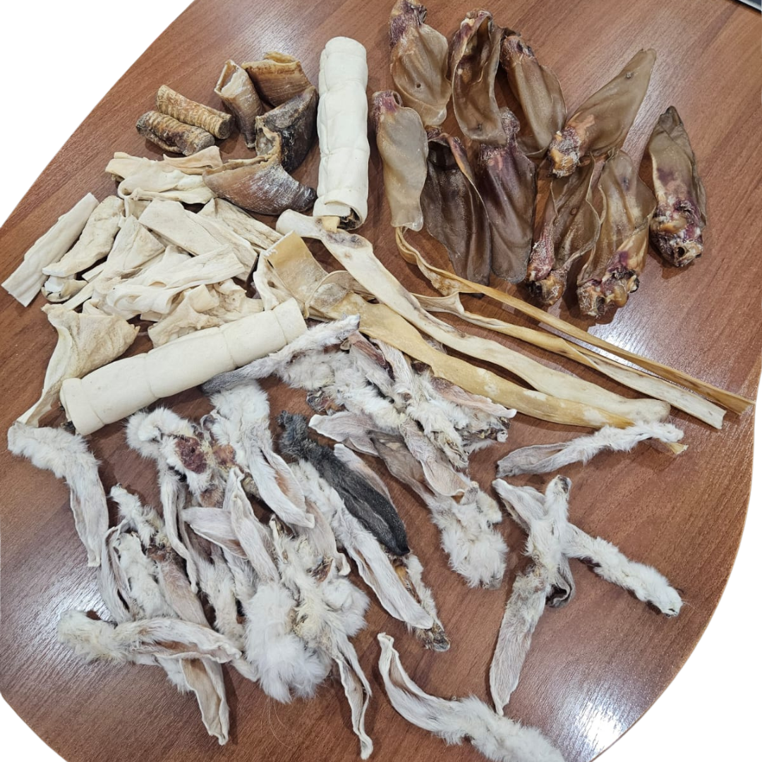 Big value dog chew box