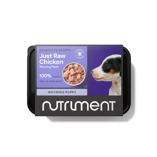 Nutriment raw cat food in Wiltshire