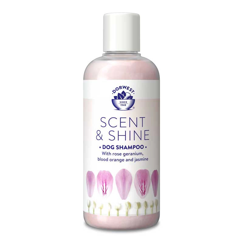 Scent & Shine Shampoo 250ml