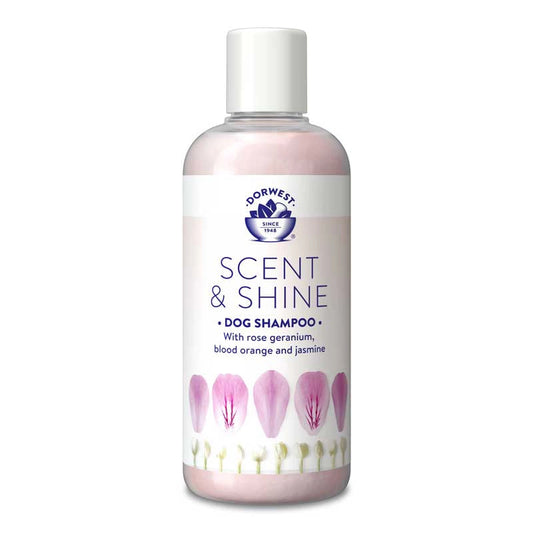 Scent & Shine Shampoo 250ml