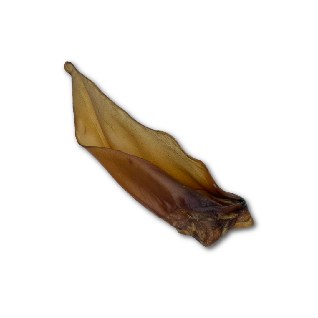 Buffalo ear, natural chew for dogs