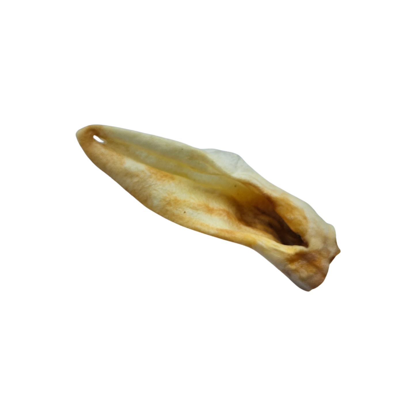 Lamb Ears for dogs - natural dog chews