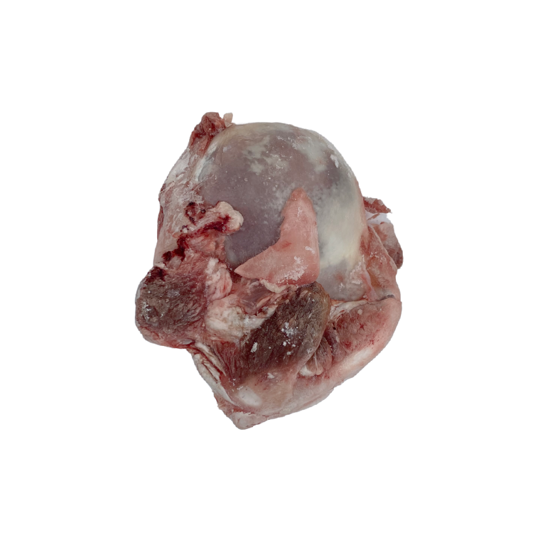 Raw Beef Knuckle Bone Natural Treats Wiltshire