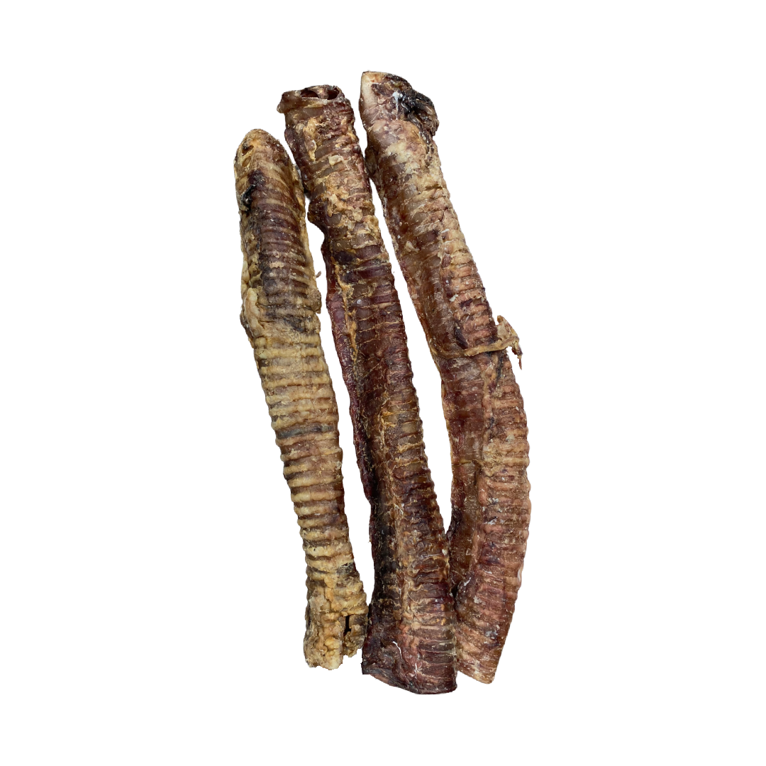 Whole Beef Trachea 10inch approx