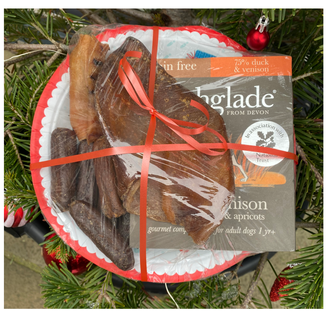 Christmas Dinner Plate