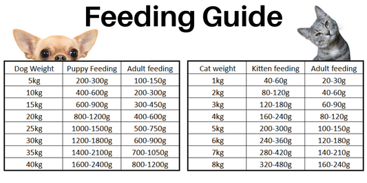 Feeding Guide for Raw Pet Food Beginners