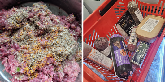 How to Start Your Dog on a Raw Diet