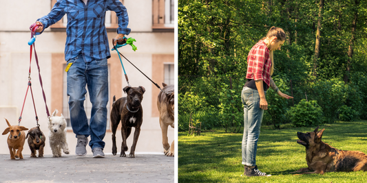 Dog Trainers of Wiltshire - Let’s Build Something Great Together