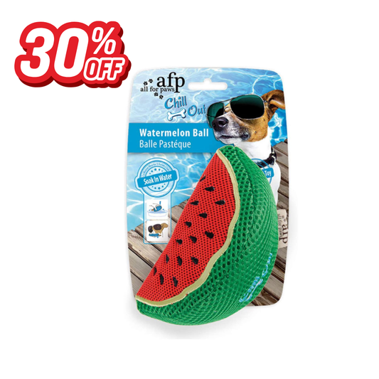 Chill Out Watermelon Slice