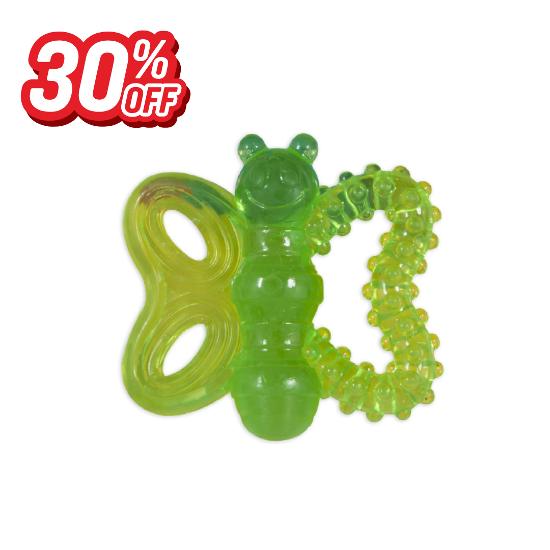 JW ButterFly Chew-ee Teether