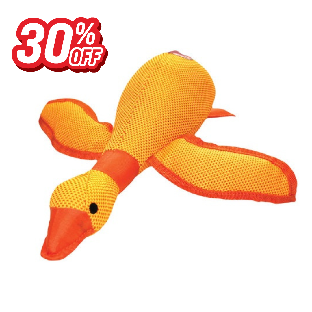 Dazzle Duck