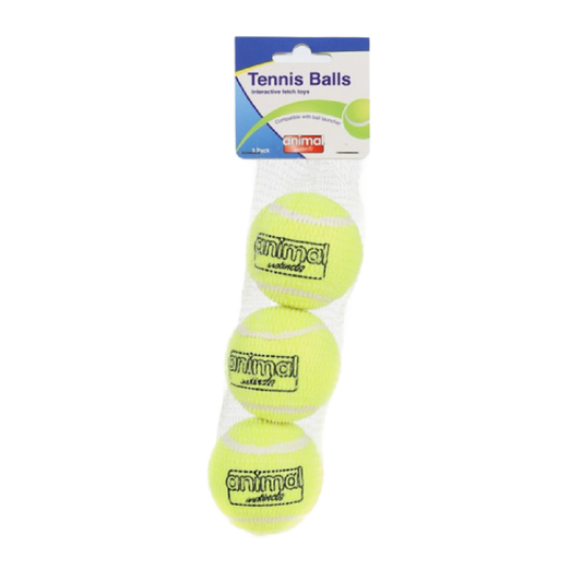 Tennis balls for dogs in Wiltshire