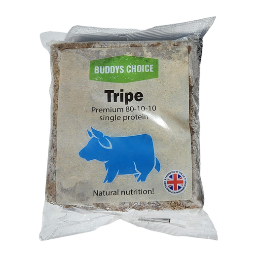 Buddys choice dog food in Wiltshire