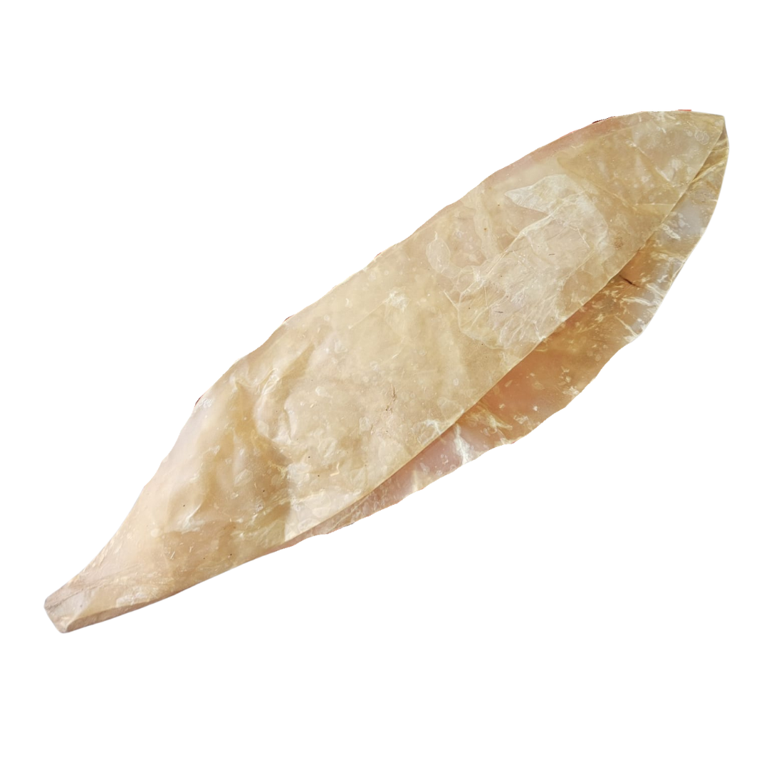 Buffalo bladder natural chew for dogs in UK