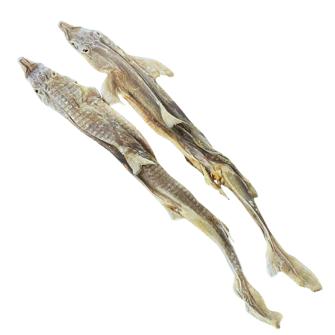 Giant Dogfish 1pc