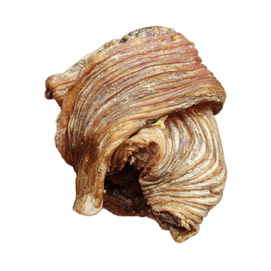 Ostrich Croissant