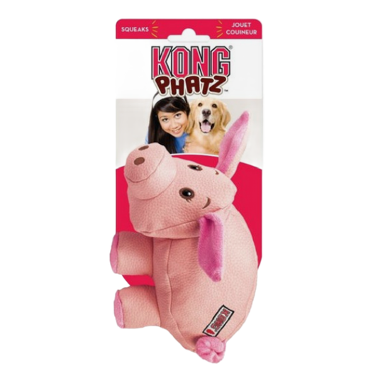 Kong dog toy in Wiltshire