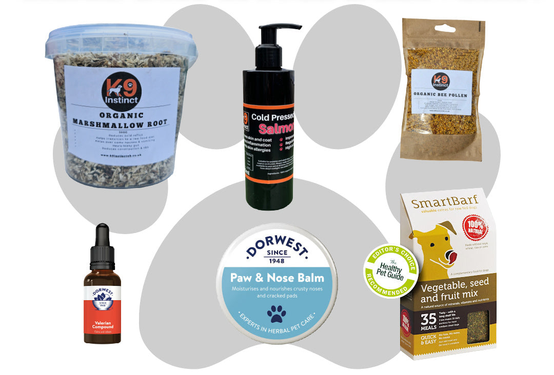 Natural supplements for dogs for a healthy diet