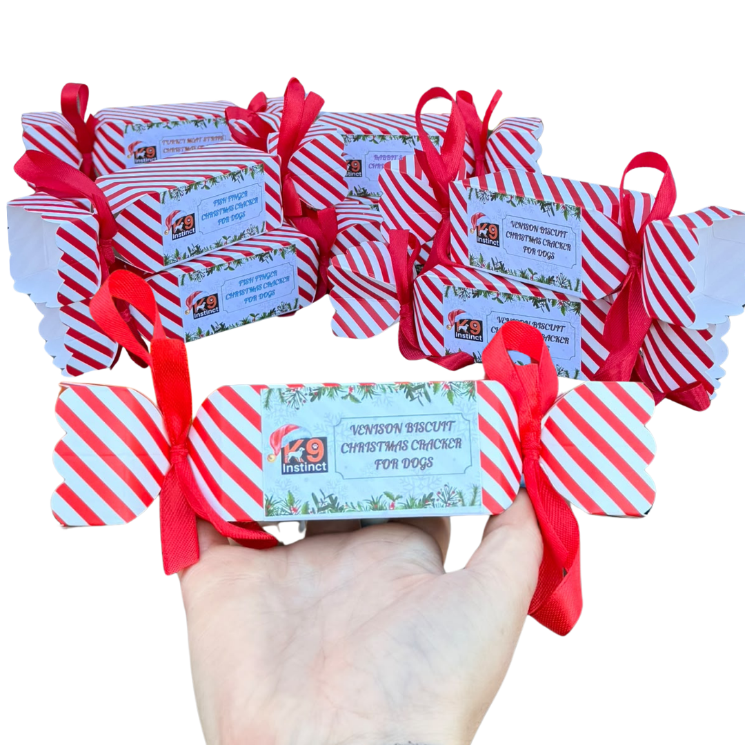 Christmas Cracker - Venison Biscuit