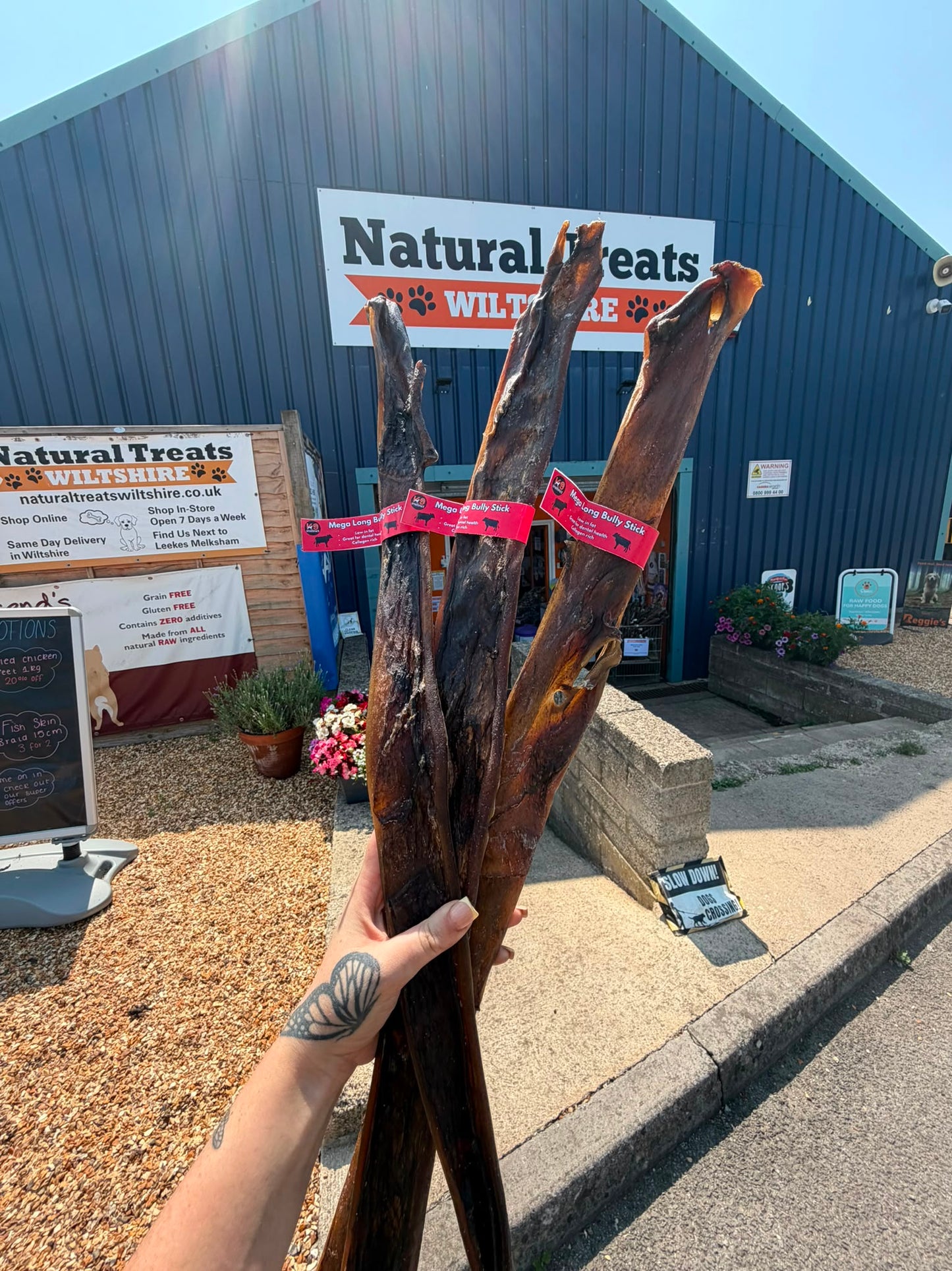 Mega Long Bully Stick 70cm