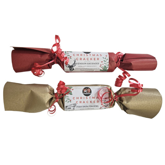 Christmas gift for dog in Wiltshire