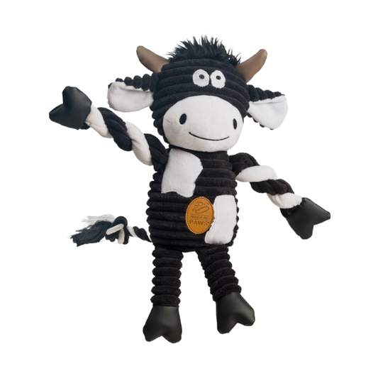 Dog toy in Wiltshire