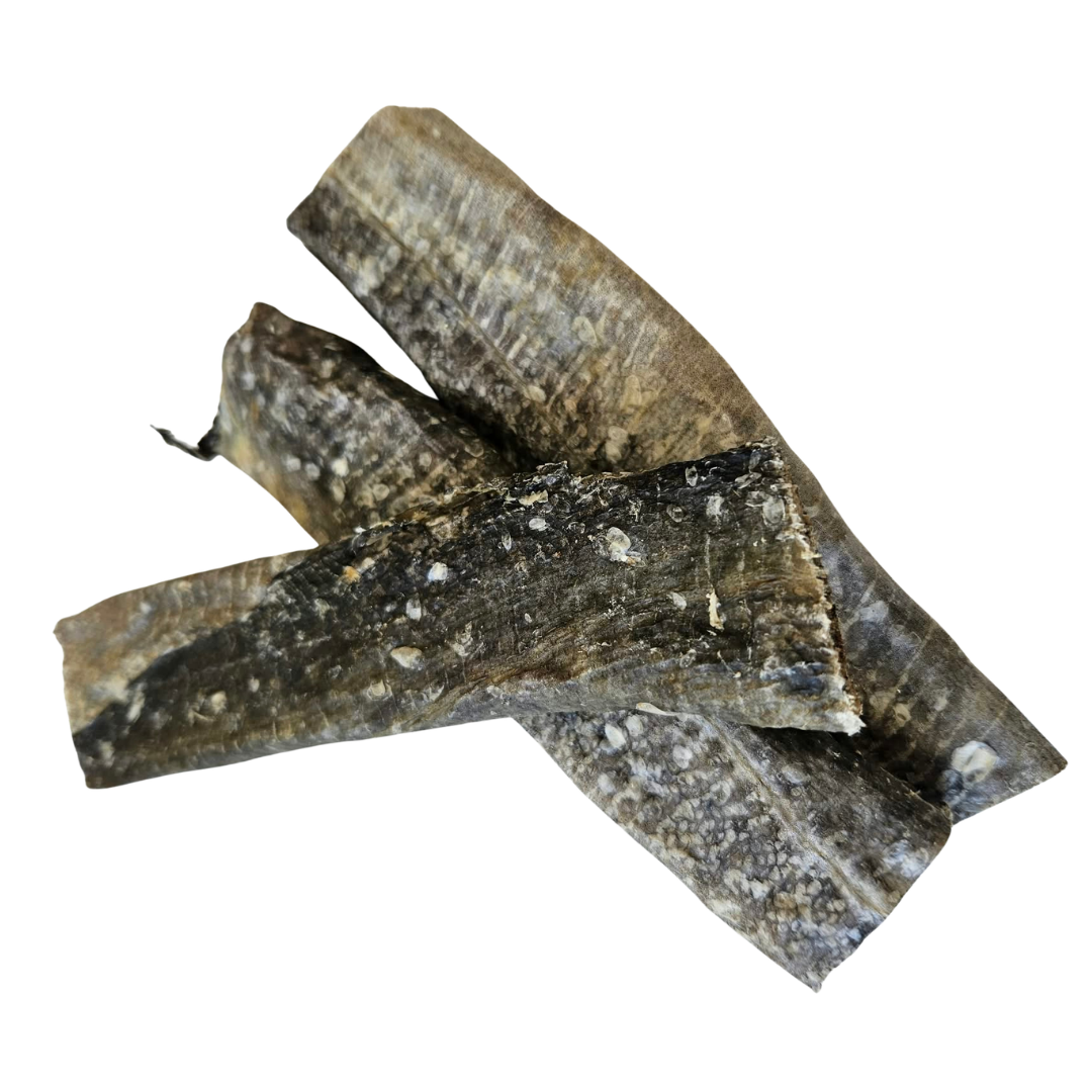 Fish skin flat cigar 1pc