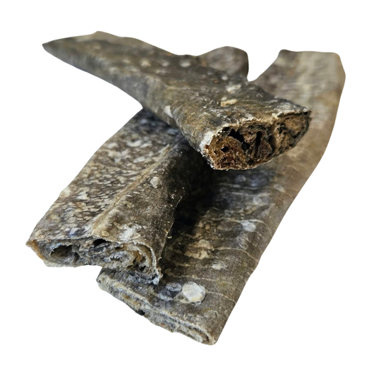 Fish skin flat cigar 1pc