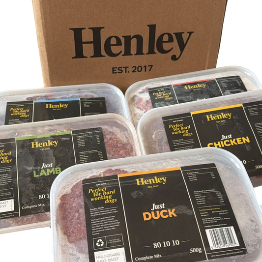 Henley Raw dog food in Wiltshire