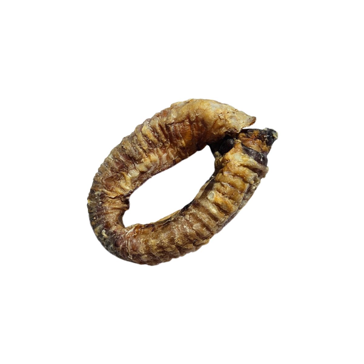 Lamb trachea ring - natural chews for dogs.