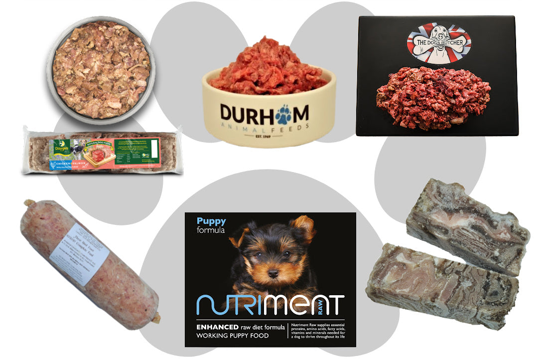 Raw mince for dogs