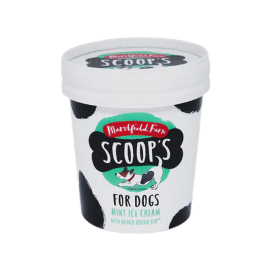 Ice cream for dogs in Wiltshire