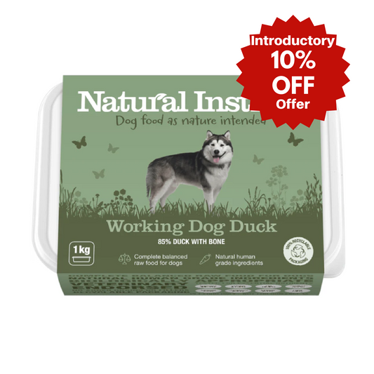 NI Working Dog Duck 1kg