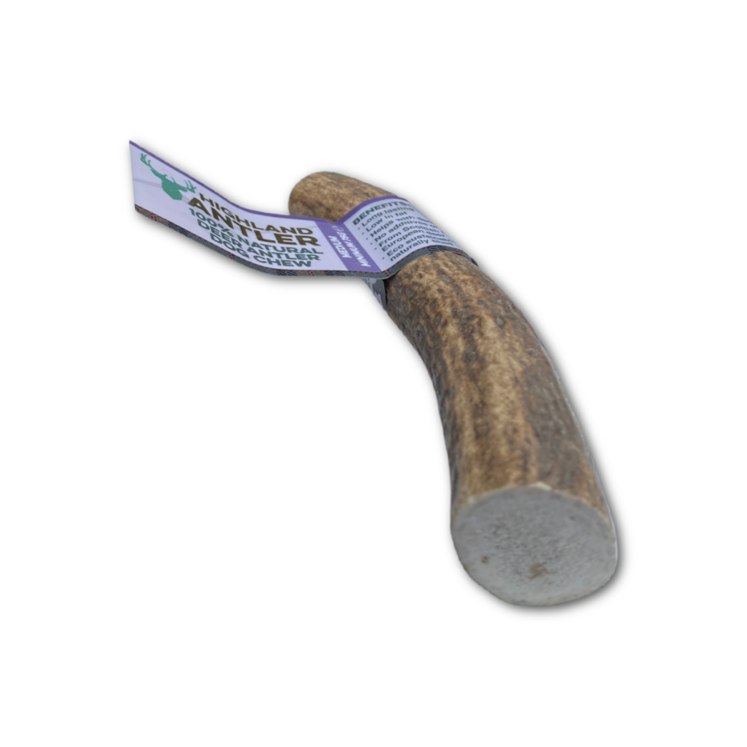 Antler for dogs - natural dog chew